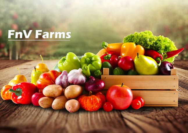 FnV Farms To Revolutionize the Food Chain Deliver with Data Science
