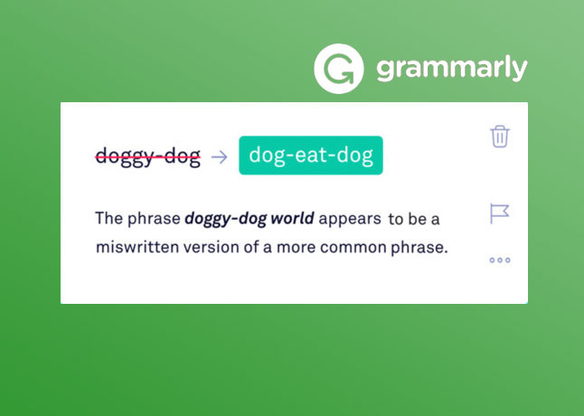 Grammarly Introduces a New Feature Named Expert Writing Help