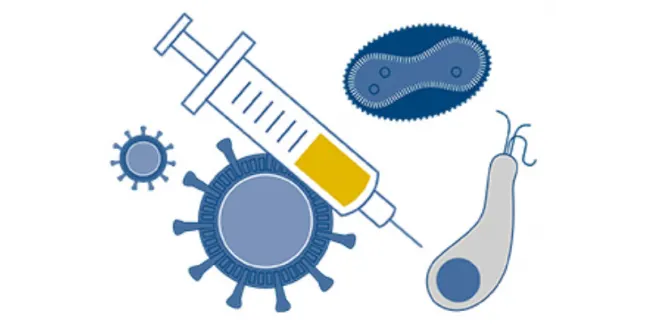 Get vaccination to Say Hello to Nature Like Before
