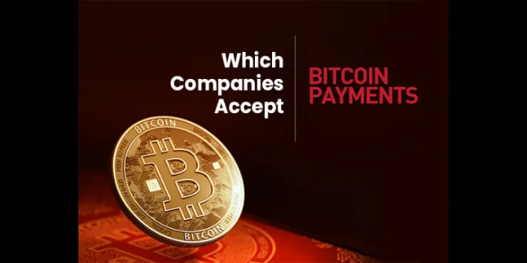 Top 7 Companies which Accept Bitcoin Payments