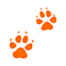 Dingo Trails Dingo Trails Promo and Discount Codes {month} {year}