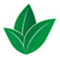 Hazzard Seeds Hazzard Seeds Promo and Discount Codes {month} {year}