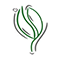 Nikitovka Seeds Nikitovka Seeds Promo and Discount Codes {month} {year}