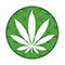 Hemp Haus Hemp Haus Promo and Discount Codes {month} {year}