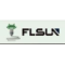 Flsun3d 