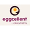 Eggcellent 