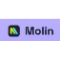 Molin AI