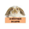 La Boutique Du Lapin 
