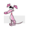 Little Pink Dog Collars 