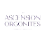Ascensionorgonites