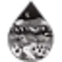 Authentic Hemp Company