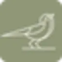 Away From Everything