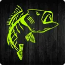 Bad Bass Designs Bad Bass Designs Promo and Discount Codes {month} {year}