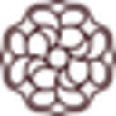 Bayron Bay Sunglasses