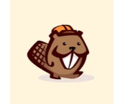 Beaver builder