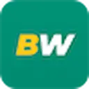 BetWinner