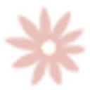 Bloom Planners BLOOM PLANNERS DISCOUNT CODES - 35% OFF {month} {year}