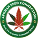 Cannabis Samen Aus Afghanistan