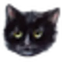 Cat By Maniita Lacitta