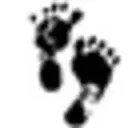 Classes.Birthbootcamp