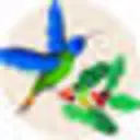 Coffee Bean And Birds