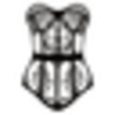 Corset Femme CORSET FEMME DISCOUNT CODES - 35% OFF {month} {year}