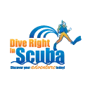 Dive Right In Scuba