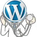 Doktor WordPress SEO