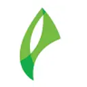 Forever Green Indoors