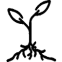 Graine De Bouillotte