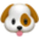 Gray And Tail GRAY AND TAIL DISCOUNT CODES - 35% OFF {month} {year}