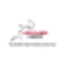 Hammer Head Swim Caps