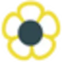 Healing Natural Oils