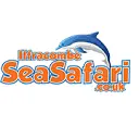 Ilfracombe Sea Safari