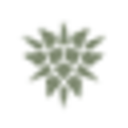 InCorrupto Tequila INCORRUPTO TEQUILA DISCOUNT CODES - 35% OFF {month} {year}