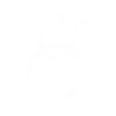 Infinityaroma Germany INFINITYAROMA GERMANY DISCOUNT CODES - 35% OFF {month} {year}