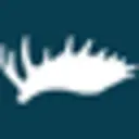 Iron Will Outfitters