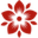 Kazikame KAZIKAME DISCOUNT CODES - 35% OFF {month} {year}