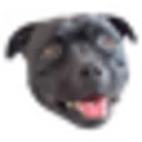 Klem Klem KLEM KLEM DISCOUNT CODES - 35% OFF {month} {year}