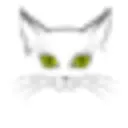 La Boutique Du Maine Coon