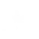 La Carioca Fashion