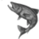 Lamiglas Fishing Rods