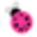 Lil Bug Clothing Etsy