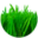 Lio Verde LIO VERDE DISCOUNT CODES - 35% OFF {month} {year}