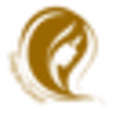 Liquidgoldhairproducts