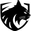 LYNX Boxing LYNX BOXING DISCOUNT CODES - 35% OFF {month} {year}