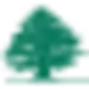 Middle East Airlines