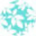 The Midwest Sea Salt Company