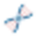 Nutrigenomicsinstitute