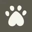 Ollies Ollies Promo and Discount Codes {month} {year}